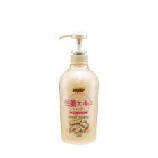 GINGER SHAMPOO 600ML